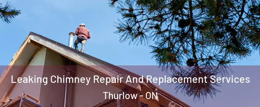  Leaking Chimney Repair And Replacement Services Thurlow - ON