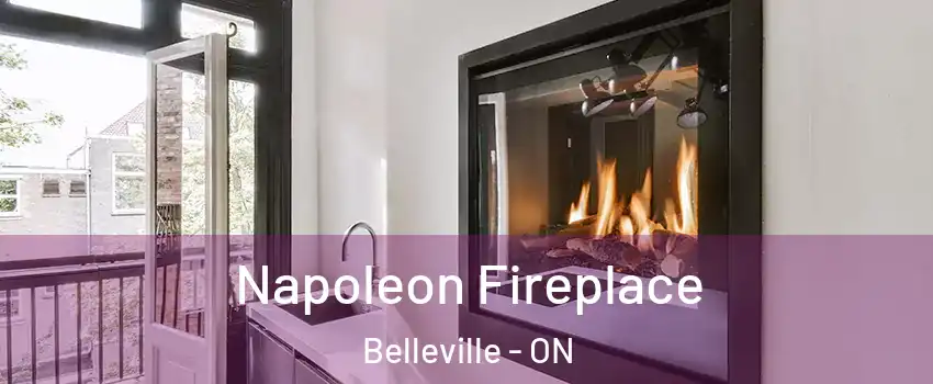  Napoleon Fireplace Belleville - ON