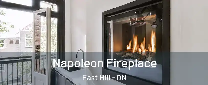  Napoleon Fireplace East Hill - ON