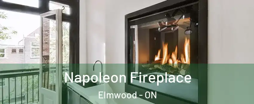 Napoleon Fireplace Elmwood - ON