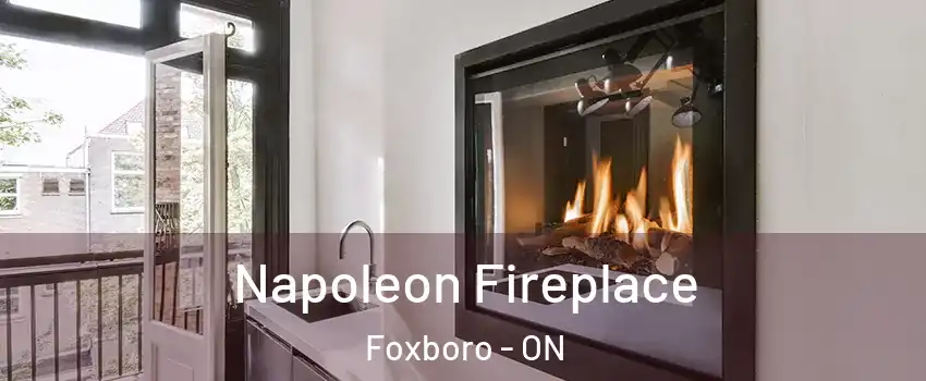  Napoleon Fireplace Foxboro - ON
