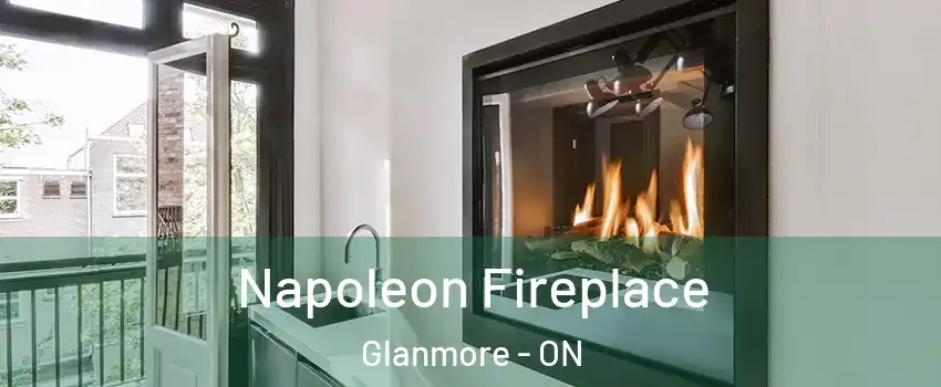  Napoleon Fireplace Glanmore - ON