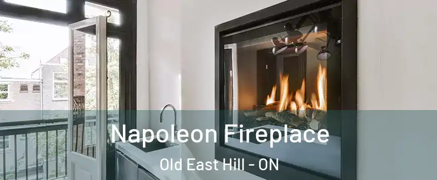  Napoleon Fireplace Old East Hill - ON