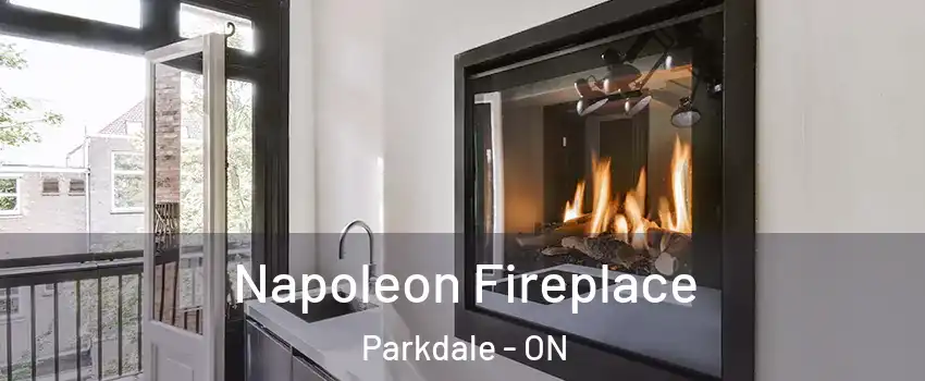  Napoleon Fireplace Parkdale - ON