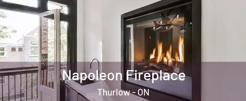  Napoleon Fireplace Thurlow - ON
