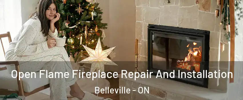  Open Flame Fireplace Repair And Installation Belleville - ON
