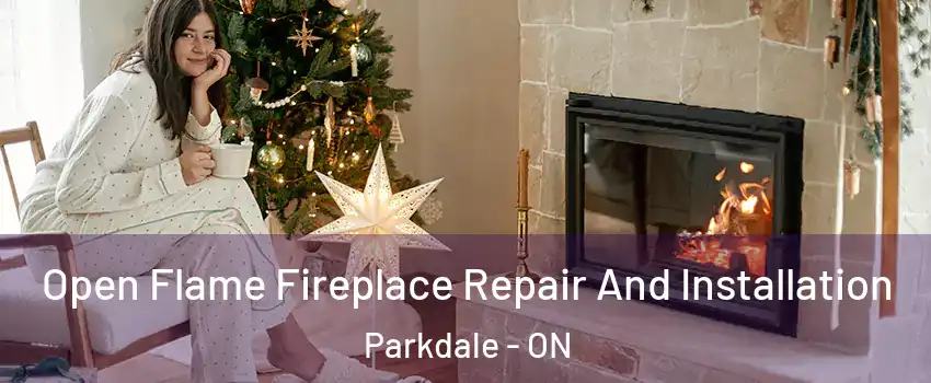  Open Flame Fireplace Repair And Installation Parkdale - ON