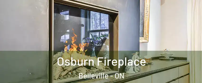  Osburn Fireplace Belleville - ON