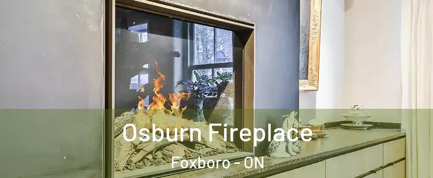  Osburn Fireplace Foxboro - ON