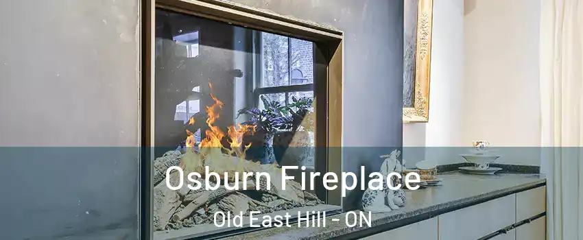  Osburn Fireplace Old East Hill - ON