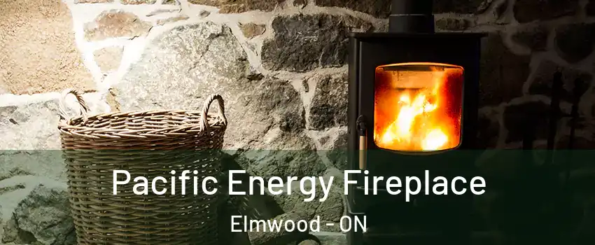  Pacific Energy Fireplace Elmwood - ON