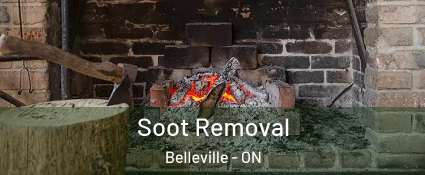  Soot Removal Belleville - ON