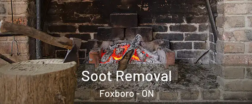  Soot Removal Foxboro - ON