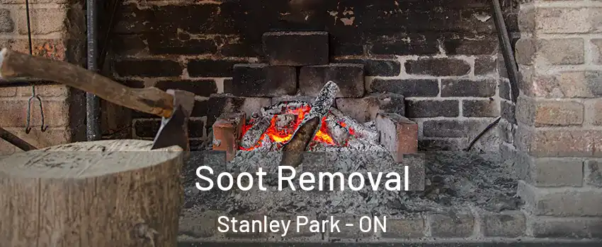  Soot Removal Stanley Park - ON