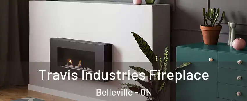Travis Industries Fireplace Belleville - ON