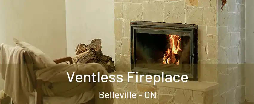  Ventless Fireplace Belleville - ON
