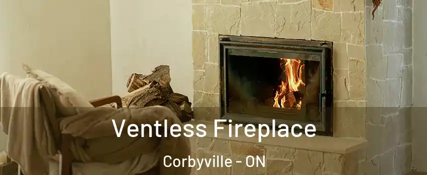  Ventless Fireplace Corbyville - ON