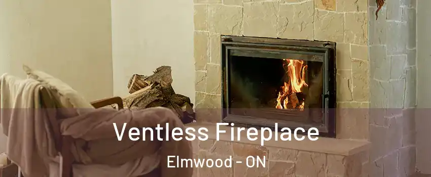  Ventless Fireplace Elmwood - ON