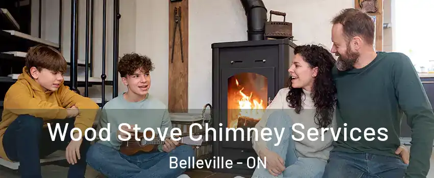  Wood Stove Chimney Services Belleville - ON