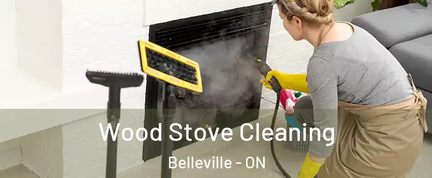  Wood Stove Cleaning Belleville - ON