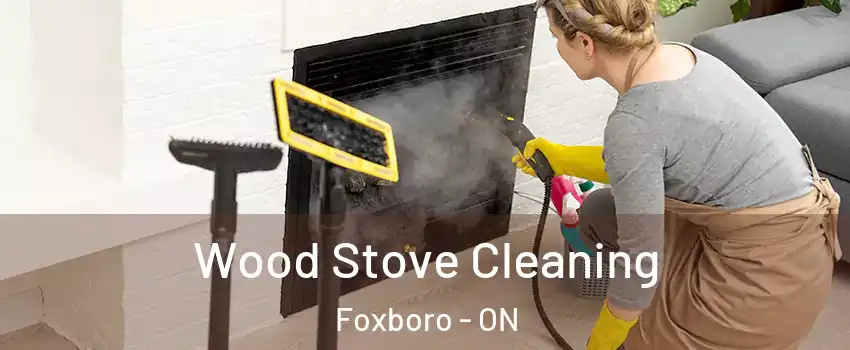  Wood Stove Cleaning Foxboro - ON